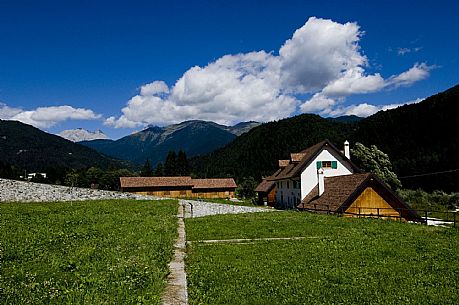 Sawmill in Applis